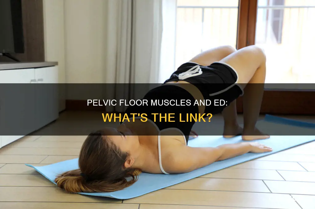 can tight pelvic floor muscles cause ed