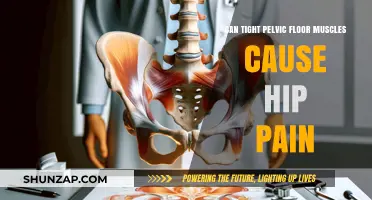 Pelvic Floor Muscles and Hip Pain: What's the Link?