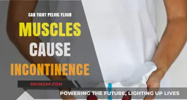Pelvic Floor Muscles: Incontinence and Tightness Connection