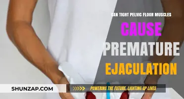 Pelvic Floor Muscles: Premature Ejaculation Culprit or Not?