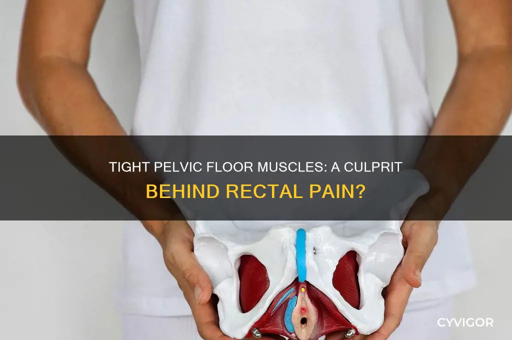 can tight pelvic floor muscles cause rectal pain