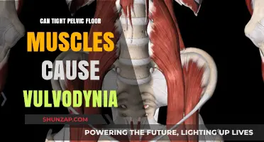 Pelvic Floor Muscles and Vulvodynia: What's the Link?