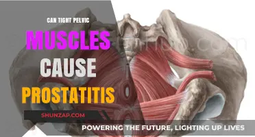 Pelvic Floor Tension: Prostatitis Trigger?
