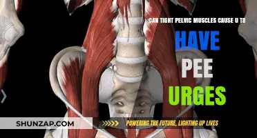 Tight Pelvic Muscles: Urge to Pee?