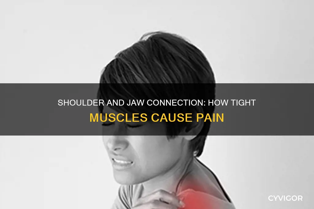 can tight shoulder muscles cause jaw pain