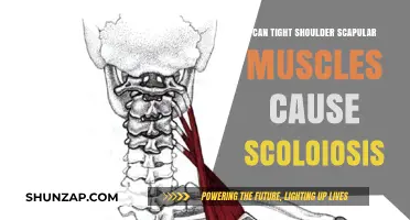 Tight Shoulder Scapular Muscles: A Scoliosis Culprit?