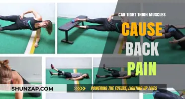 Tight Thigh Muscles: A Surprising Cause of Back Pain