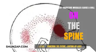 Tight Trapezius Muscles: Spine Pull or Pain?