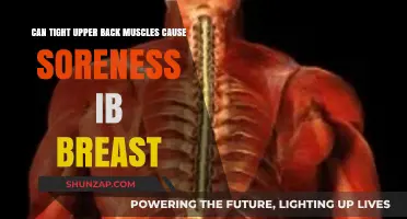 Upper Back Muscle Tension: Breast Soreness Culprit?