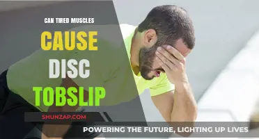 Muscle Fatigue: A Slipping Risk Factor?