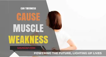 Tiredness and Muscle Weakness: What's the Link?