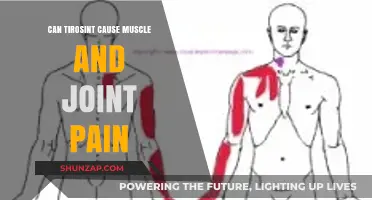 Tirosint Side Effects: Muscle and Joint Pain?