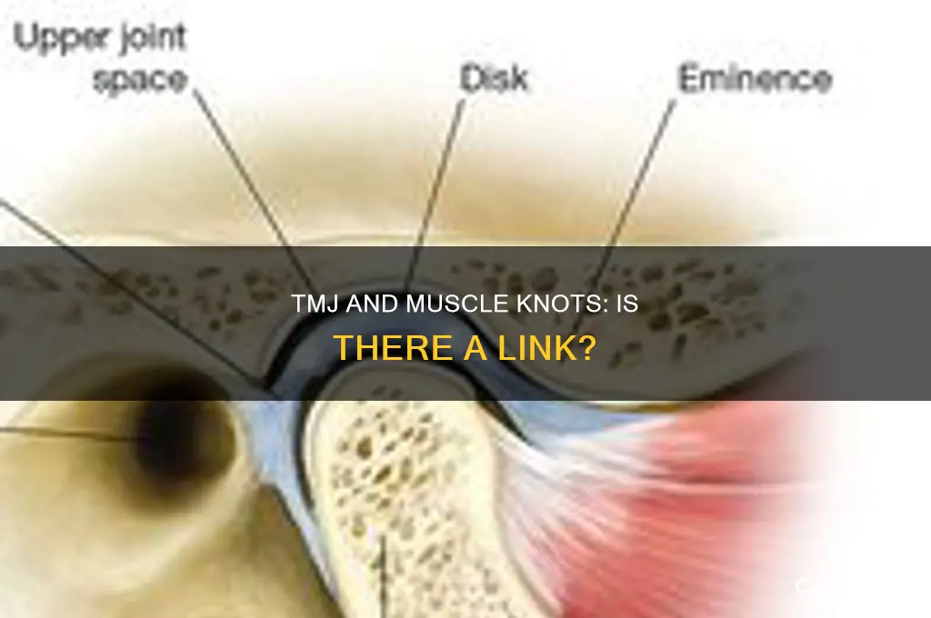 can tmj cause muscle knots