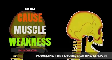 TMJ and Muscle Weakness: Is There a Link?
