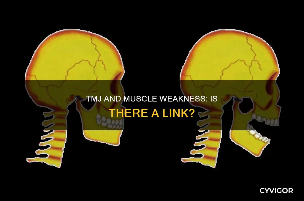can tmj cause muscle weakness
