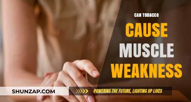 Tobacco's Impact: Muscle Weakness and Fatigue