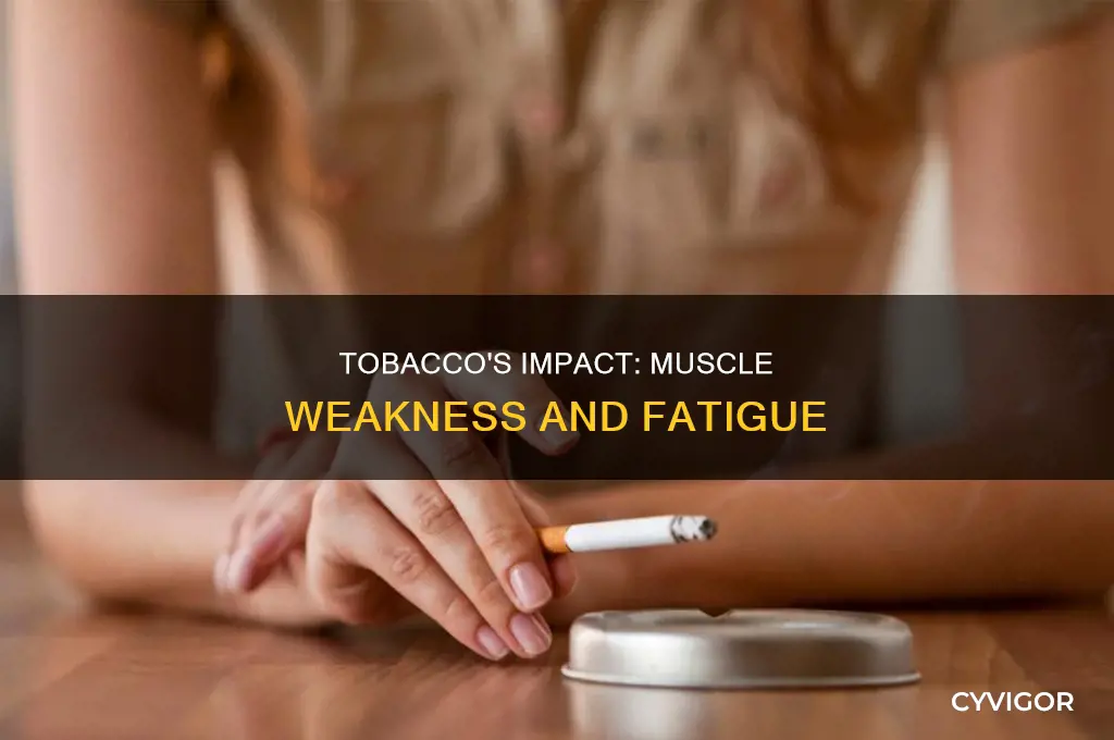 can tobacco cause muscle weakness