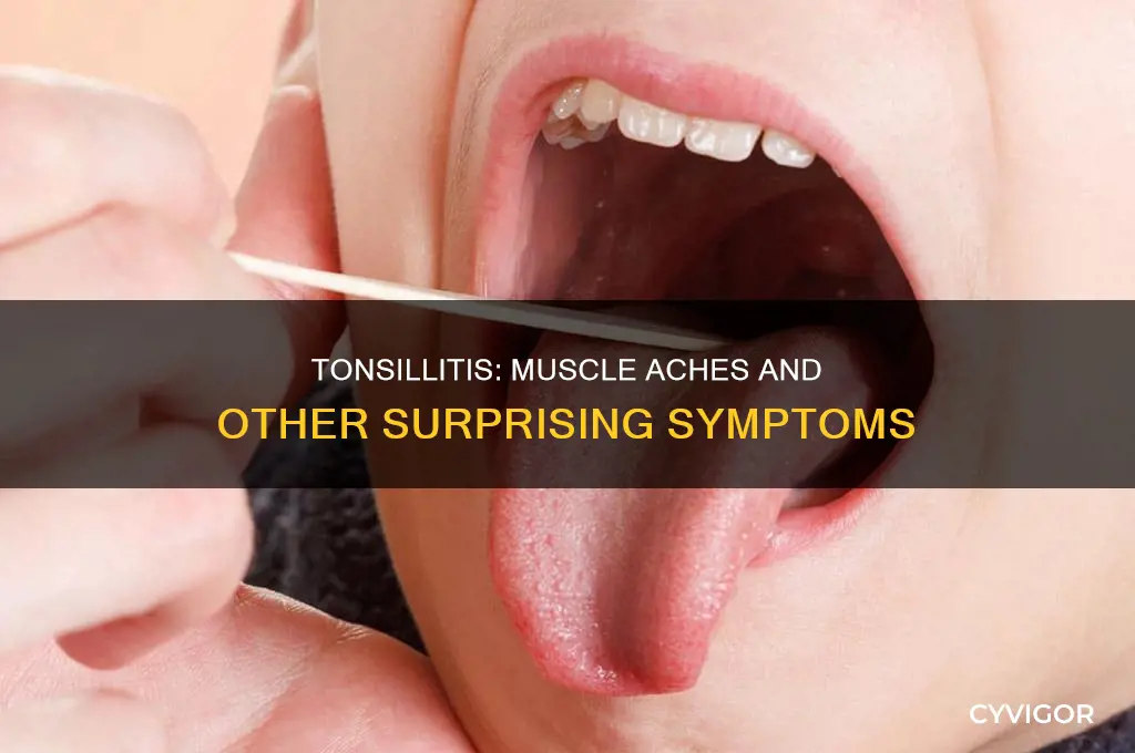 can tonsillitis cause muscle aches