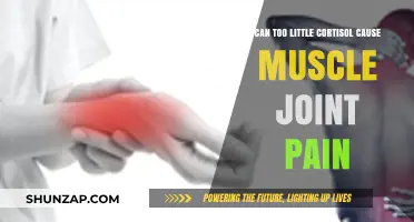 Cortisol Deficiency: Muscle and Joint Pain Connection
