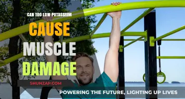 Low Potassium: A Risk Factor for Muscle Damage?