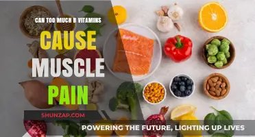 B Vitamins Overload: Muscle Pain Risk?