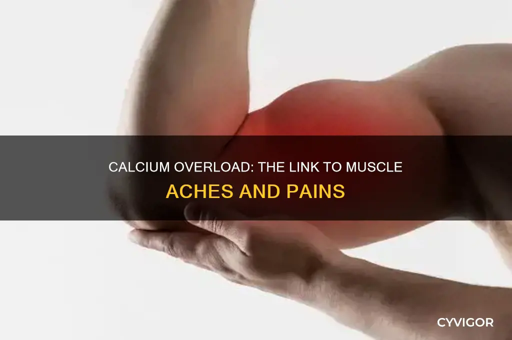 can too much calcium cause muscle aches