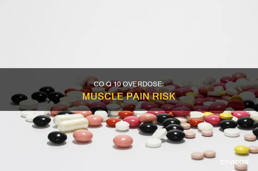 can too much co q 10 cause muscle pain