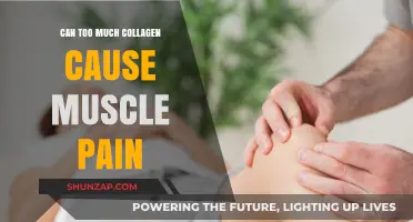 Collagen Overdose: Muscle Pain and Collagen Intake