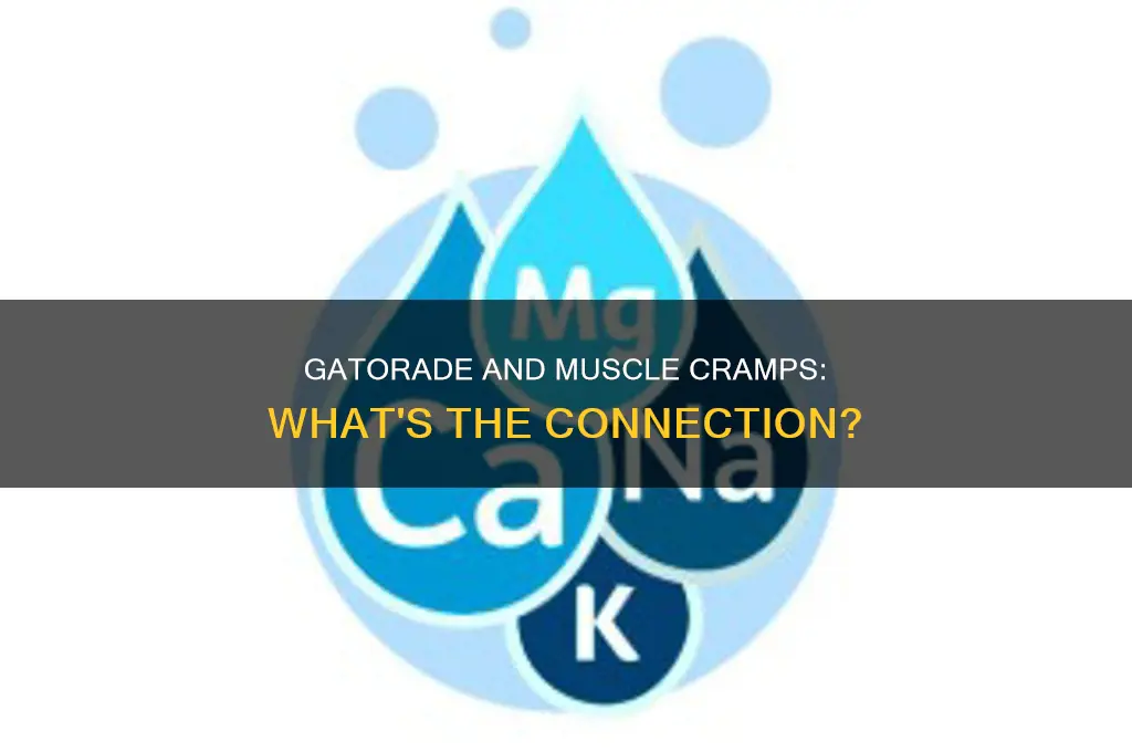 can too much gatorade cause muscle cramps