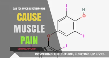 Managing Muscle Pain from Levothyroxine Overuse