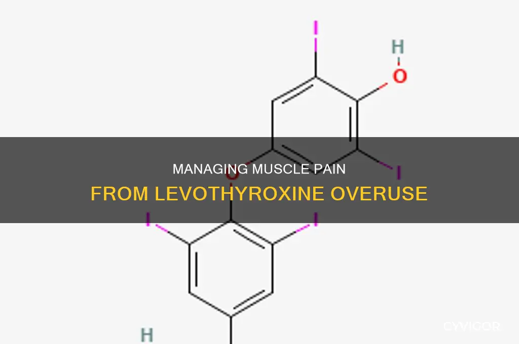 can too much levothyroxine cause muscle pain