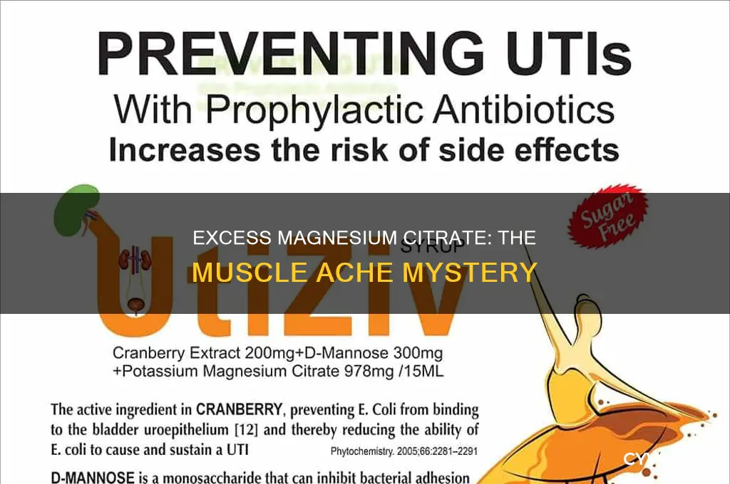can too much magnesium citrate cause muscle aches
