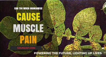 Excess Manganese: A Cause of Muscle Pain?