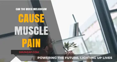 Meloxicam Overdose: Understanding the Muscle Pain Connection