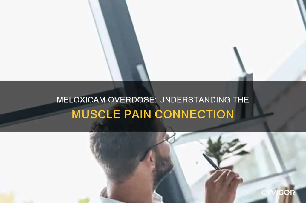 can too much meloxicam cause muscle pain
