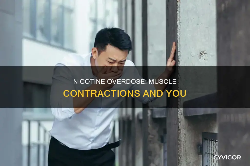 can too much nicotine cause your muscles to contract