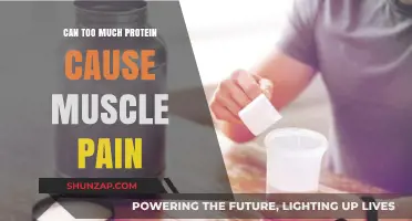 Excess Protein: Friend or Foe for Muscles?