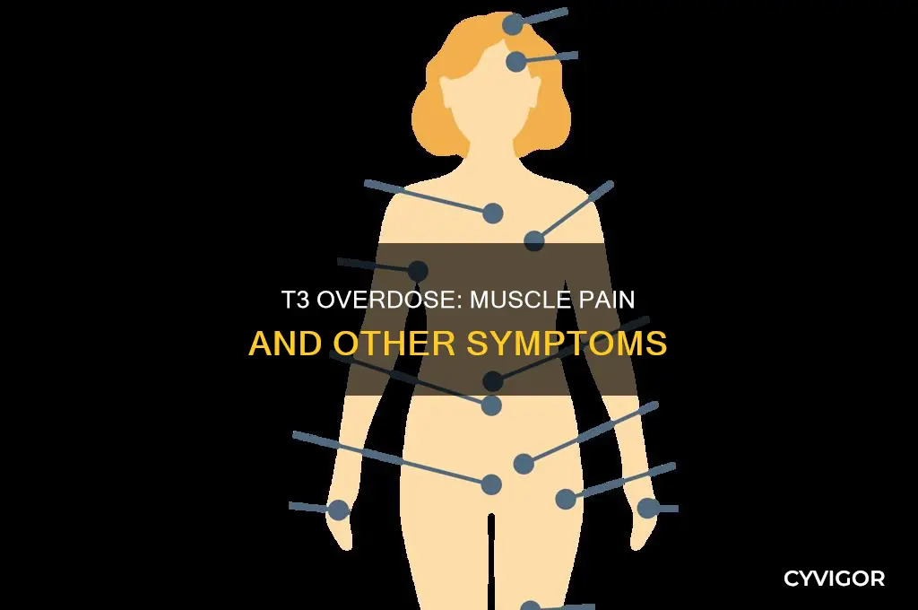 can too much t3 cause muscle pain