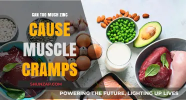 Zinc Overload: Muscle Cramps and Aches