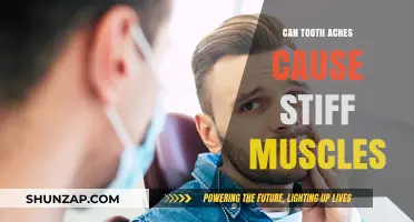 Toothache-Induced Muscle Stiffness: Understanding the Connection