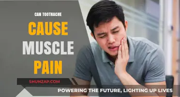 Toothache Troubles: Muscle Pain Connection