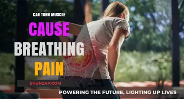 Breathing Pain: Could a Torn Muscle be the Cause?