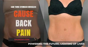 Stomach Muscle Tears: A Cause of Back Pain?