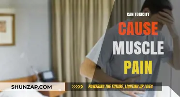 Toxicity and Muscle Pain: Is There a Link?
