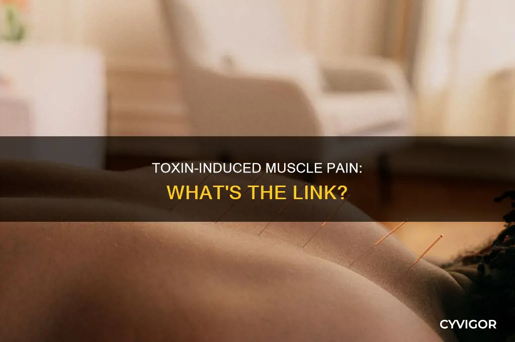 can toxins cause muscle pain