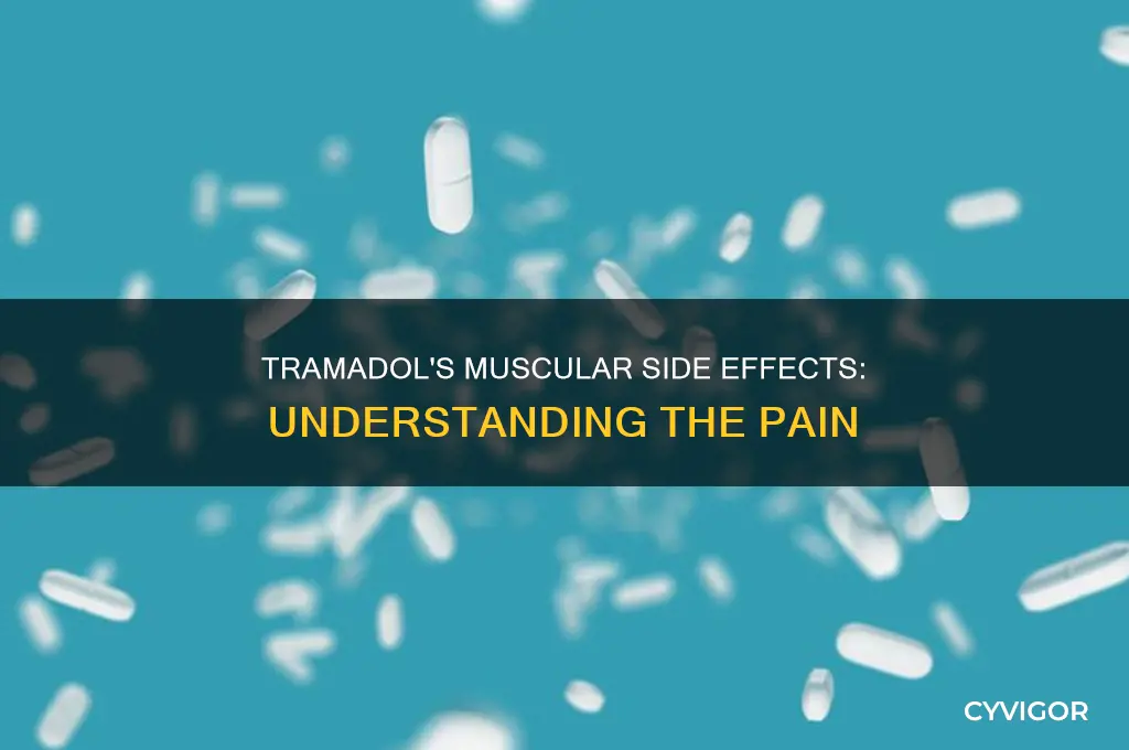 can tramadol cause muscle aches
