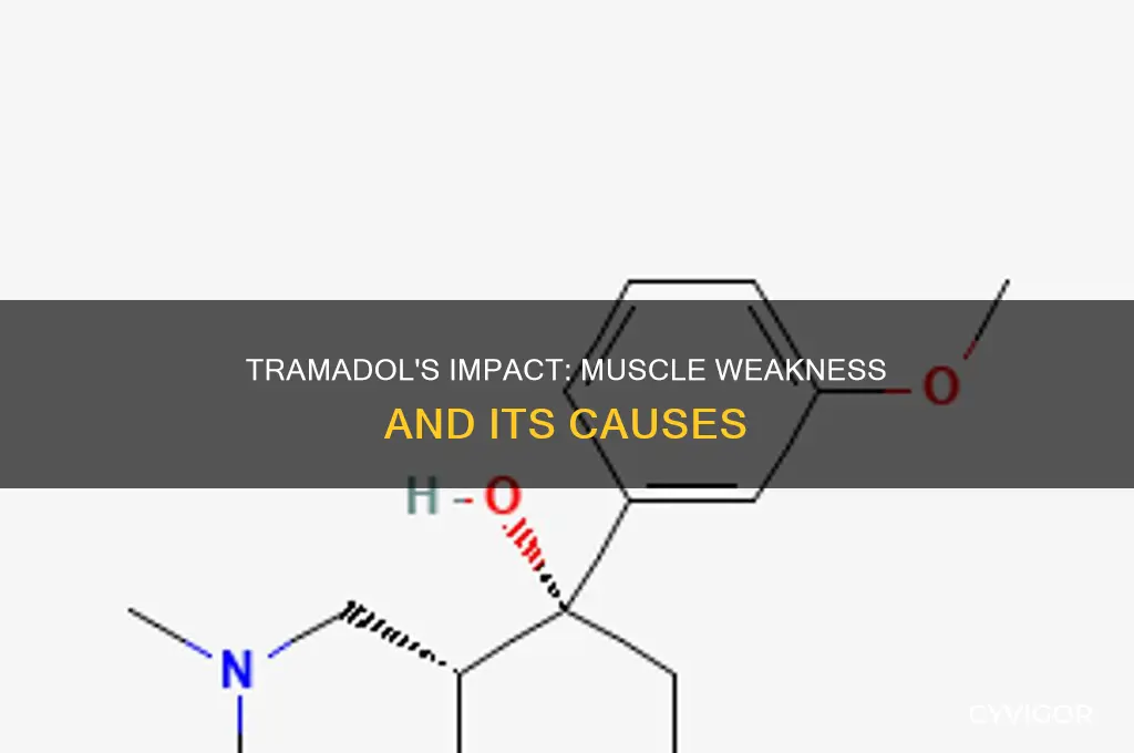 can tramadol cause muscle weakness