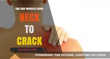 Trap Muscles: Why Your Neck Cracks