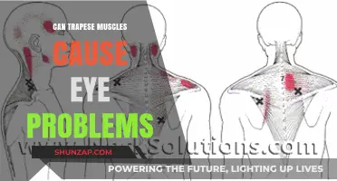Trapezius Muscle Tension: Eye Problems?