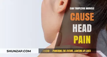 Trapezius Muscle and Head Pain: What's the Link?